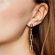 Oval Chain Earrings Simple Retro Exaggerated Earrings Popular Exaggerated Earrings 26.5.4