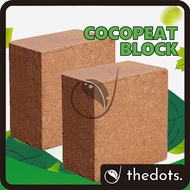 4.5kg Cocopeat Block Premium Coir Coco Peat Compressed Cocopeat Brick Garden Soil Bongkah Sabut Kela