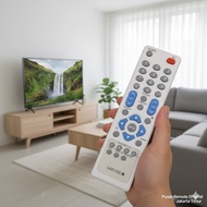 SHARP ALEXANDER CRT TV REMOTE LIKE THE ORIGINAL