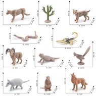 Simulation Wild Desert Animal Set Groundhog Coyote Armadillo Sidewinder Scorpion Lizard Sand Table D