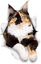 Winston & Bear 3D Cat Stickers - 2 Pack - Calico Stickers for Wall, Fridge, Toilet and More - Retail