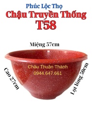 10 Cái Chậu Nhựa Truyền Thống Phúc Lộc Thọ THUẬN THÀNH Trồng Cây-Mẫu T58-Màu Đỏ Đá