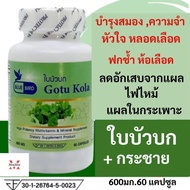 ใบบัวบก+กระชายขาว ขนาด 600 มก. 60 แคปซูล  Gotu Kola Dietary Supplement Product