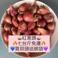 🇹🇼7台斤免運💜全乾紅蔥頭💙送網袋🧄雲林 全乾 紅蔥頭🧄新鮮採收 小農自產自銷