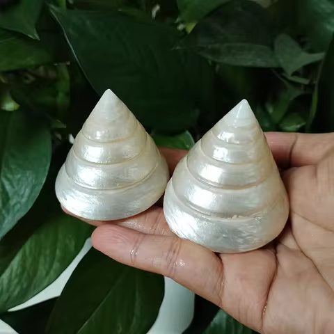2 PCS Natural White Pearl Tower Snail Fluorescent Sea Shell Specimen Snail Hermit Crab Fish Tank Aqu
