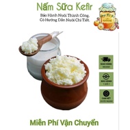 Kefir Milk Mushrooms - Yogurt Mushrooms (Commitment To Success, With Detailed Feeding Guide)