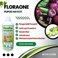 Pupuk PGPR Fungisida Hayati Tricoderma, PGPR Obat Layu Fusarium