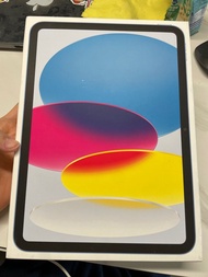 美版 ipad 10 256 wifi blue pink