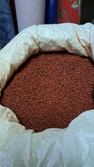 Atsuete/ Annatto seeds/ Achiote