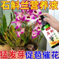 【有機肥】【花肥】石斛營養液 生根壯苗催花促發芽防落葉黃葉鐵皮石斛石斛蘭通用型肥