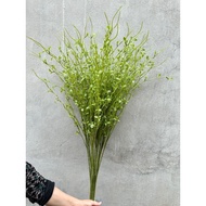 Decorative young fortune - fortune branches - vase branches - decorative branches