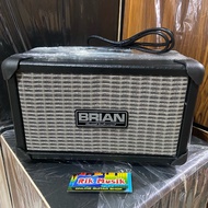 BRIAN 4 Guitar Amplifier Electric Guitar Amplifier