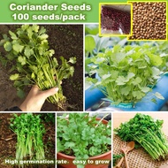 Organic Coriander Seeds Chinese Parsley/Cilantro Seeds Vegetable Seeds for Planting Benih Sayur Sayu