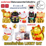 แมวกวักนำโชค แมวกวัก 2 นิ้ว LUCKY CAT แมวกวักโซล่าเซลส์ ใช้พลังงานแสงอาทิตย์ ไม่ต้องใส่ถ่าน (แถมฟรีกล่องใสครอบ)