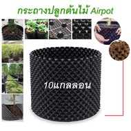 กระถางปลูกต้นไม้เร่งราก Air Pot กระถางปลูกต้นไม้ Air pot 1357101220 แกลลอน กระถางเพิ่มราก แผ่นเร่งรา