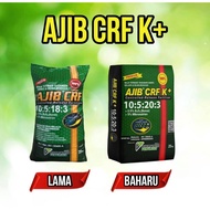 BAJA AJIB CRF 10:5:20