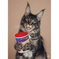 Alphalogy Cat Food Supplement Sprinkle Every Day Use Part Code Cat Supplement
