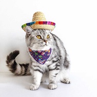 Pet Supplies Straw Mini Pet Dog Straw Hat Pet Mexican Hat Pet Cat Sun Hat