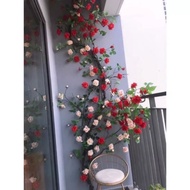 Fake rose vines, antique rose vines, decorative climbing rose vines