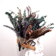 DRY LEAVES - 10 branches of dried Eucalyptus leaves, apple leaves for decoration, decor, and photogr