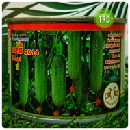Tin 50g MESSI 2014 Biji Benih Timun Batang Ulam Baby F1 Hybrid Mini Cucumber Seeds SK Thai Agriculture Seed Cap Kambing.