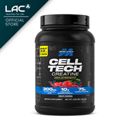 [Expiry Jun 2028] MuscleTech CellTech Creatine Fruit Punch 2.90lbs (1.32KG)