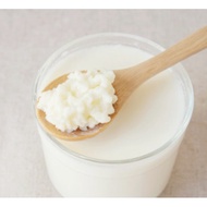 Active Milk Kefir Grains (15 g) + Starter Milk (Bottled)