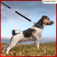 📦 Jogging Leash para sa Aso Paglalakad Panggabing Lead Hiking Weatherproof