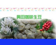 瓜地馬拉 拉米尼塔 花神 【興田咖啡生豆】