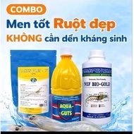Set of 3 digestion for shrimp and fish - Good yeast, beautiful intestines, no need to be antibiotics