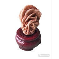 Desert Rose mini raw display