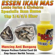 Essen Ikan Mas RAJA PODIUM Khusus Mancing Lomba Harian KiloGebrus Ikan Rame Essen Ikan Mas Paling Am