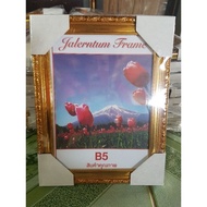 Picture Frame Size B5/7 9.5 Inches 8 10