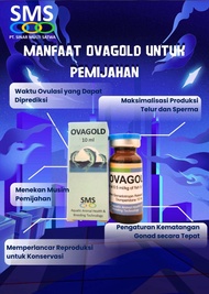 OVAGOLD 10ML OBAT PEMIJAHAN IKAN HORMON OVAPRIM GONADOTROPIN SALMON