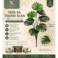 7-Leaf Betel - Interior Decoration