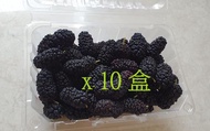 【預購！嘉義義竹 無毒新鮮桑葚500gｘ10盒(鮮果)】已篩選、未清洗桑椹