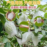 Guava Protective Bag Special Bag Fruit Bag 100 Sets Net Bag Foam Net Guava Bag Fruit Guava Protectiv