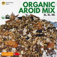 AROID MIX (AIRY TYPE) / MEDIA TANAMAN KHAS AROID by daunketapangsbh