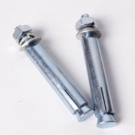 10PCS Dyna Bolt 1/4 x 2 (M6 X 60mm) Tetanized TGC Expansion Anchor Bolt with Sleeve