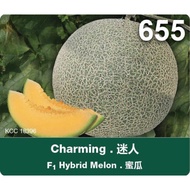 F1 Rock Melon Charming M655 500s/pkt