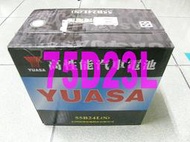 YUASA 湯淺 高性能保養型 75D23L (55D23L,65D23L可用) 電池 電瓶 其它國際牌 歡迎詢問 