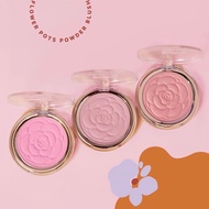 (In Stock!) Flower Beauty by Drew Barrymore Flower Pots Powder Blush [6g]