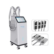 CRYO+ EMS Remove Fat Machine Fast Freezing Cooling Plate with EMS Function Cryolipolysis Slimming Ma