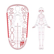 Clothing Design Human Body Template Ruler