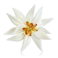 KIKIN Delicate Edelweiss Brooch Enamel Artistic Corsage for Women Fashion Statement