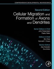 Cellular Migration and Formation of Axons and Dendrites John Rubenstein