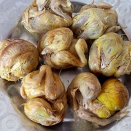 Farm Fresh Eggs 40 Raw Eggs Fresh Chicken Embryo Eggs Wang Eggs Happy Eggs Non Live Beads Phoenix Eg