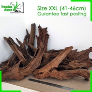 Driftwood (XXL 41-46cm) Malaysia for Aquarium Fish Tank Aquascape