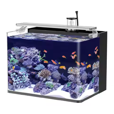 skynuo Table Curved Saltwater Marine Fish Tank Aquarium Fish Tank for Living Room Bedroom Office wit