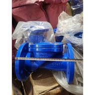 Rubber Petal Check Valve H44X-16 Ball Ink Cast Iron Check Valve Rotary Check Valve Check Valve Check
